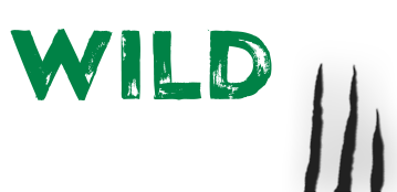 Wildcasino
